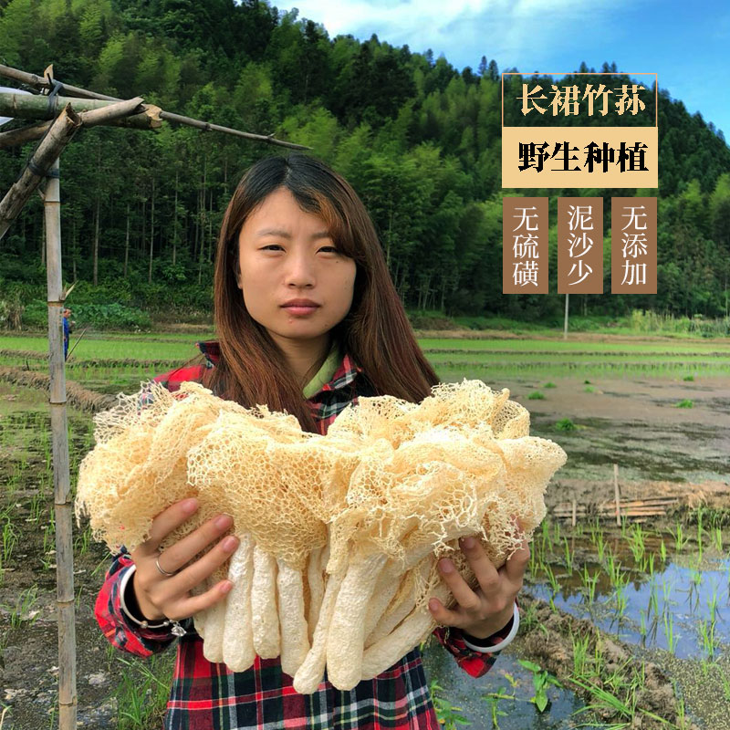 足荪鲜竹荪新鲜野生竹荪干货菌菇长裙竹荪干货竹荪菇竹笙干货100g