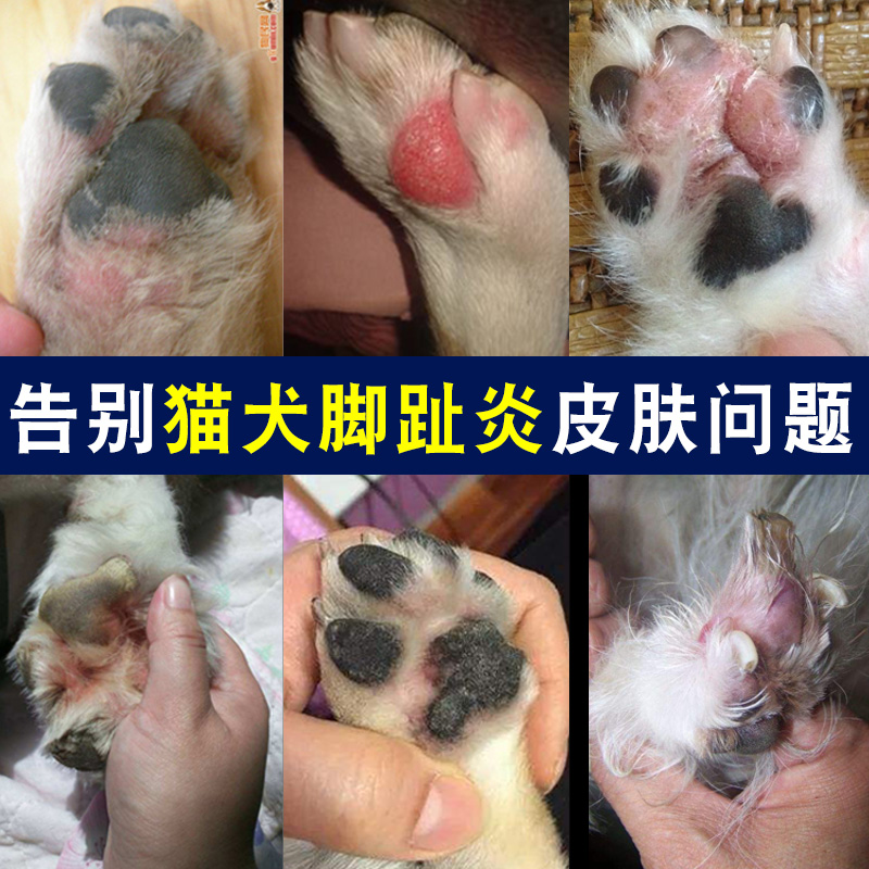趾間炎狗新品 趾間炎狗價格 趾間炎狗包郵 品牌 淘寶海外