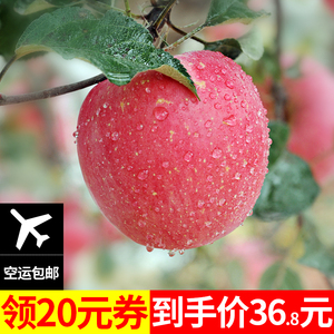 苹果陕西洛川嘎啦新鲜孕妇水果非冰糖心红富士10斤装批发包邮苹果水果