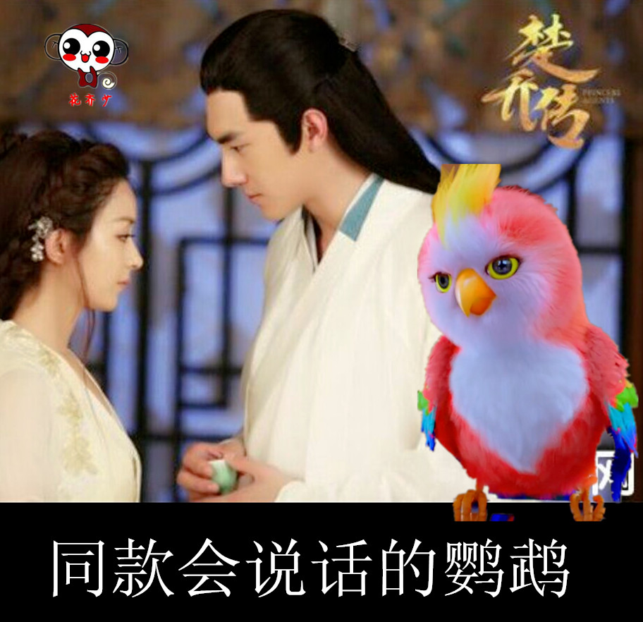楚乔传同款鹦鹉公仔会说话的苍梧鸟赵丽颖仿真玩偶毛绒玩具仓悟鸟