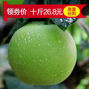 现摘新鲜蜜梨10斤当季水果皇冠梨砀山特产整箱青翠冠梨子批发包邮皇冠梨