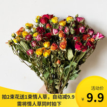 小玫瑰干花 蔷薇干花束客厅酒店花艺家居摆设装饰干花 干花玫瑰