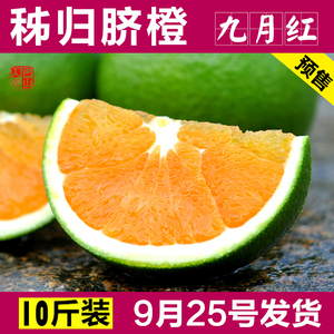 秭归九月红脐橙10斤整箱包邮新鲜水果手剥橙赣南脐橙孕妇榨汁橙子脐橙水果