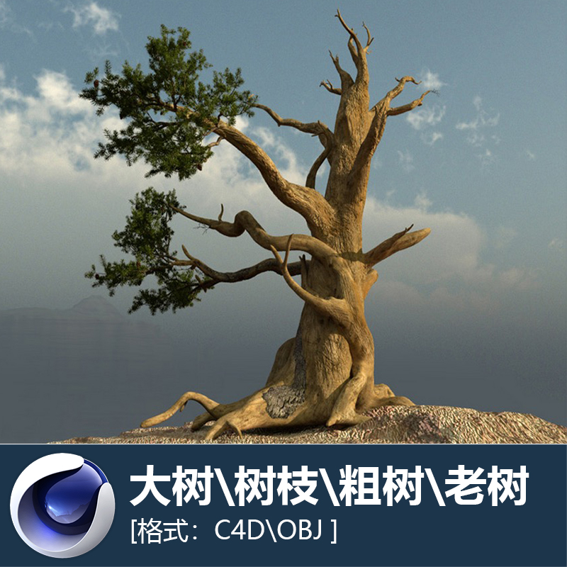 max for vray c4d obj 3d大树树枝粗树老树树干植物纹理模型259