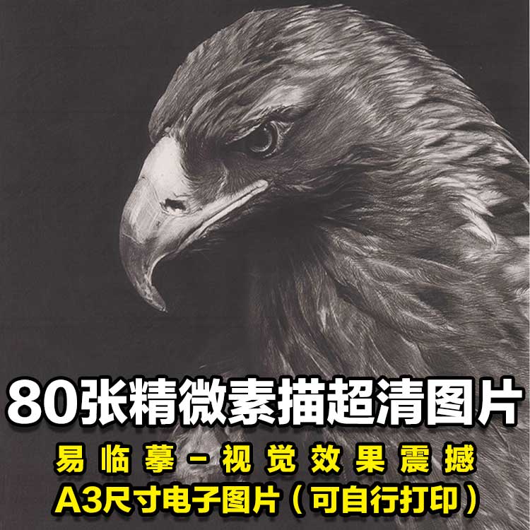 精微素描教程|精微素描下载|精微素描教学|入门