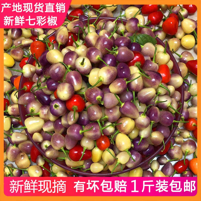 广西特产七彩辣椒新鲜农家自种五彩椒现摘蔬菜包邮七彩泡椒1斤装