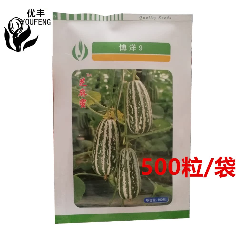 新品天津德瑞特博洋9号甜瓜种子芝麻蜜甜瓜小瓜籽花脆瓜薄皮甜度
