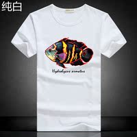 经典地图-地图图案 自动伞 晴雨伞七行美伞!限