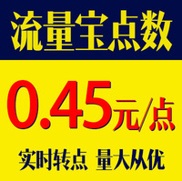 流量宝点数 挂机 会员点数 0.45元1点流量宝点