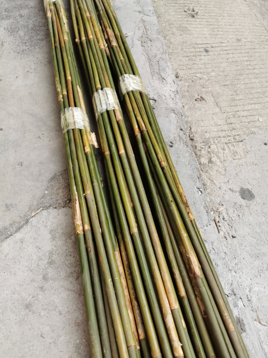矢竹高野竹鱼竿竹和竿并继竿料箭竿料做手串竹做竹子配饰