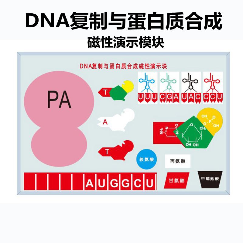 2021 dna复制人气热卖榜推荐 淘宝海外