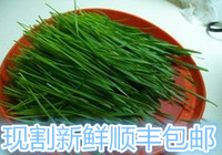 绿色有机鲜鱼配送孕妇-包邮小麦草有机绿色安