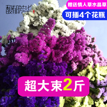 云南天然风干真花勿忘我干花花束 大干花装饰摆件家居摆设客厅diy