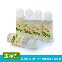 蛇仔 除蛋白虫 涡虫 清洁鱼 蛇仔鱼 苦力泥鳅 虾