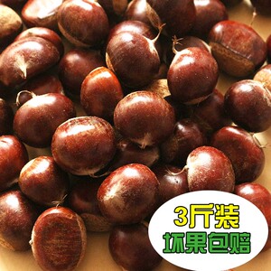 2016年现货板栗生新鲜毛栗子正宗农家有机特产零食坚果板栗仁3斤板栗生