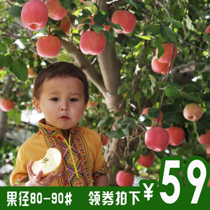 【预售】正宗新疆阿克苏冰糖心苹果新鲜水果10斤包邮胜红富士苹果水果