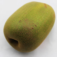 绿色有机鲜鱼配送孕妇-包邮小麦草有机绿色安