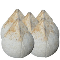 椰子白-冻布丁 辽宁4个包邮进口泰国椰皇整箱