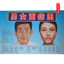 男女面痣图 点痣祛痣图 脸部痣图详解 开店宣画