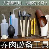 多肉用浇水壶 尖嘴水壶 新手必备 浇水利器 指那