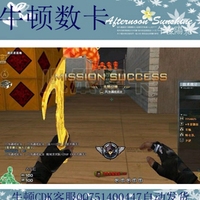 CF永久武器-机枪CF征服者喷子25800点卷CF