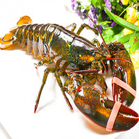 成都海鲜配送-0g活虾活基围虾 空运 成都海鲜生