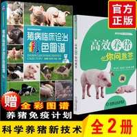 规模化科学养猪指导书-书包邮 高效养猪系列 全