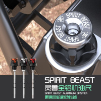 大众老款四眼POLO波罗1.6发动机机油尺 油标