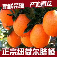 现摘湖南黔阳洪江纽荷尔脐橙新鲜水果甜橙子1