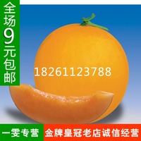 特选伊丽莎白甜瓜种子 亚细亚黄金瓜 香瓜种子