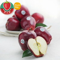 哈尔滨新鲜水果 精品有机黄心蜜柚黄金蜜柚子