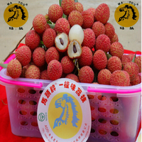 新鲜荔枝小核荔枝新鲜现摘荔枝优惠价99元,荔