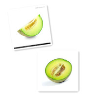 正宗海阳留格网纹瓜 比新疆哈密瓜更甜的瓜 山