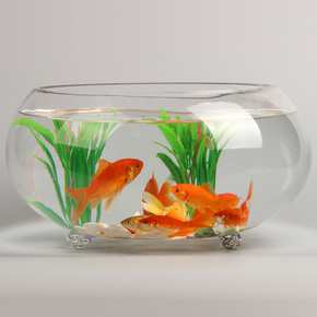 包邮超白圆形加厚水培乌龟金鱼缸创意热带鱼迷你大号小型玻璃鱼缸