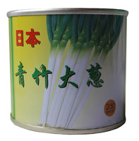 日本铁杆葱王-东大葱大田盆栽小院种热卖日本