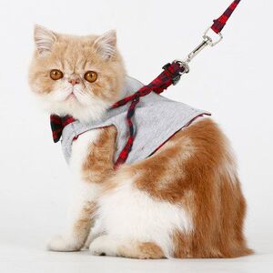 猫咪牵引绳小型专用背心式选什么牌子好 同款