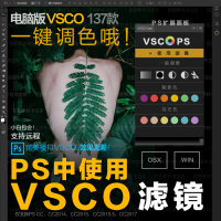 VSCO滤镜 VSCO c0m全滤镜 预设 121款个 人