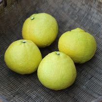 【象山青桔子】_象山青桔子推荐_品牌_价格_