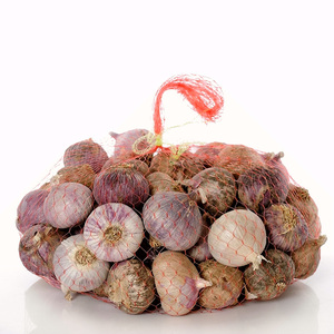 云南大理紫皮独头蒜大蒜头选什么牌子好 同款