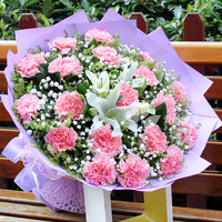 泰山肥城新泰岱岳区生-售【卫生类】华图2017