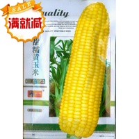 热销正品承诺韩育蔬菜种子彩袋大包装甜糯黄玉