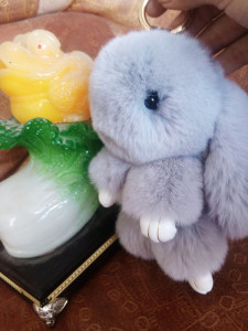 彩虹岛死霸装怎么得,彩虹岛哈密瓜