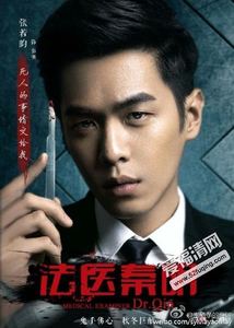 一乡之长电视剧全集,老九门电视剧全集